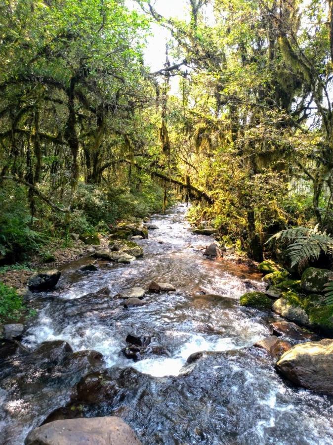 Chales Estancia Cachoeira Do Avencal أوروبيسي المظهر الخارجي الصورة