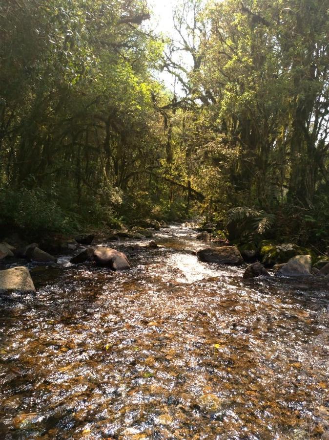 Chales Estancia Cachoeira Do Avencal أوروبيسي المظهر الخارجي الصورة